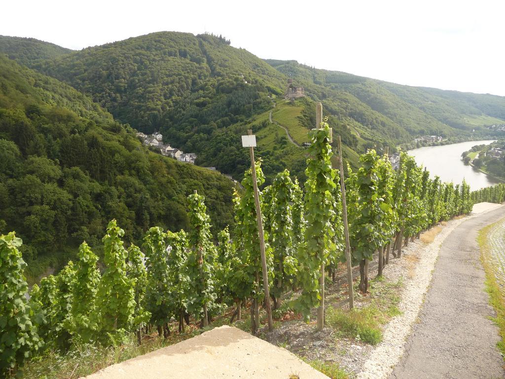 Gaestehaus Ehses Bernkastel-Kues Bagian luar foto